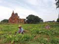 Birma - Bagan